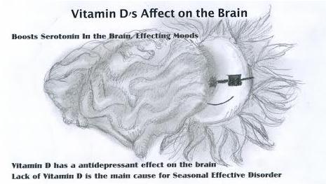 Vitamin Ds Effect on the Brain