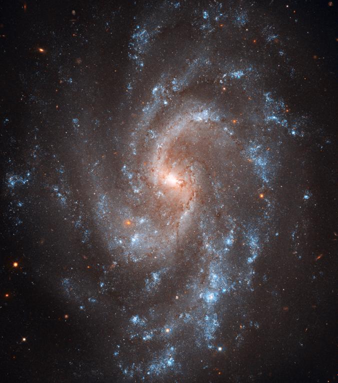 A+Hubble+picture+of+the+galaxy+NGC+5584+featuring+a+Type+Ia+supernova.++Courtesy+of+National+Geographic.+